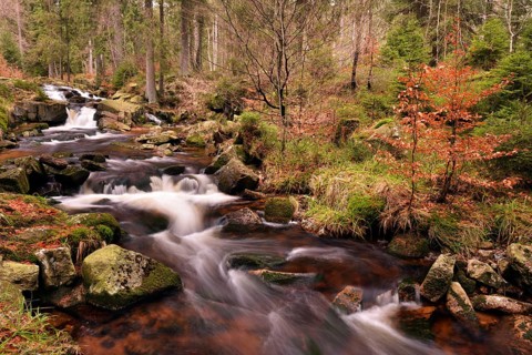 Lower Bodefall