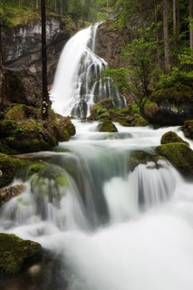 Brook with moss-covered stones