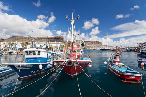 Fishing boats in the harbor