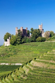 Schloss Ortenberg