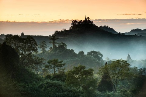 Pagodas surrounded by trees