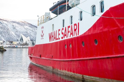 Winter in the harbour of Tromso with ship