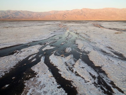 Salt marshes in the morning