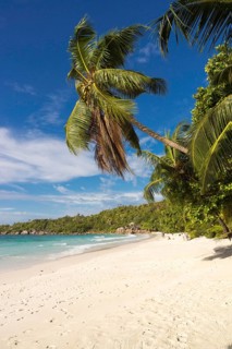 Sandy beach