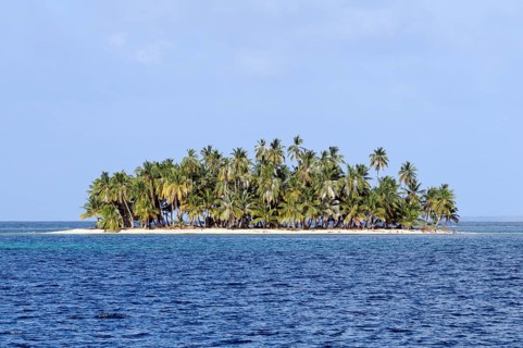 Tropical island with palm trees