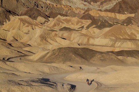 Cyclist riding on the road through the badlands of the 'Twenty Mule Team Canyon' in the morning light