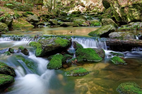 Sagwasser creek in the Felswandergebiet hiking area