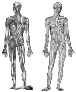 Historical illustration