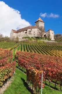 Lichtenberg Castle