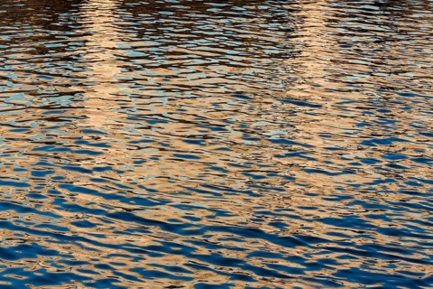 Reflection in the New Danube River