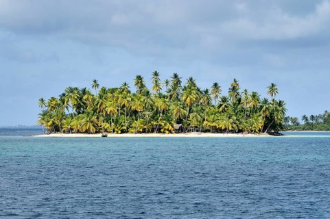 Tropical island with palm trees