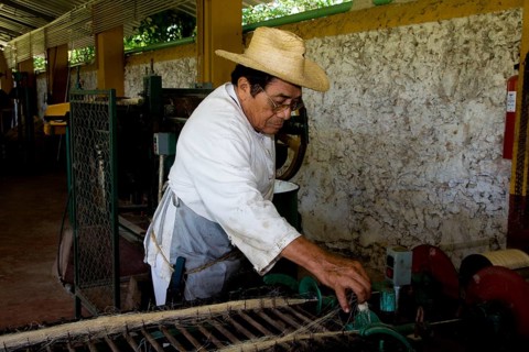 Sisal worker at the Hacienda de Sotuta de Peon