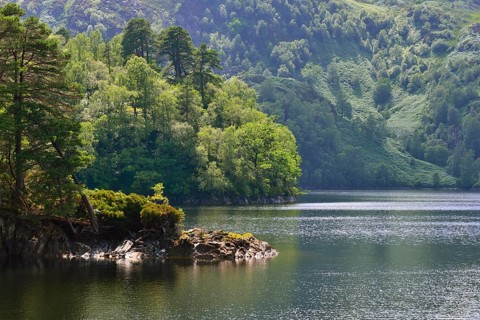 Waterside scenery at Loch Katrine