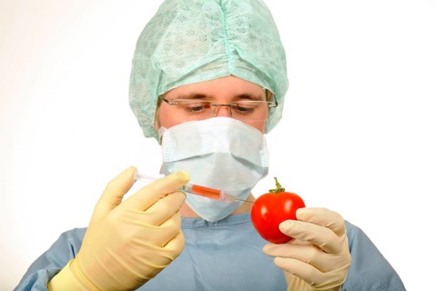 Chemist in sterile scrubs holding a syringe and a tomato