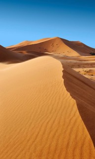 Sahara sand dunes of erg Chebbi