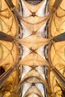 Nave