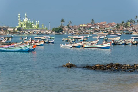 Colorful fishing boats in the harbour