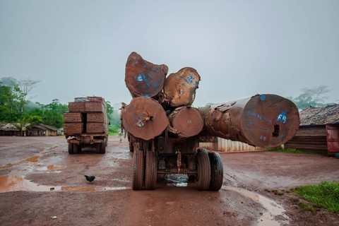 Tropical timber on a truck