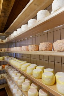 Montafoner Sauerkase cheese or Sura Kees cheese ripening in a depot
