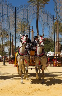 Decorated horses and dressed up coachmen at the Feria del Caballo Horse Fair