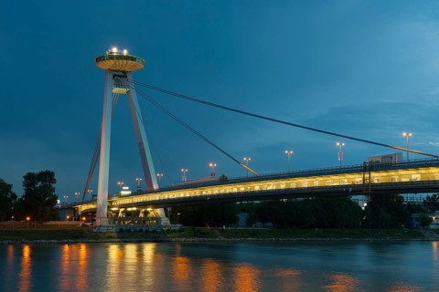 Most SNP bridge