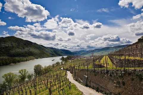 Landscape at Weissenkirchen in der Wachau