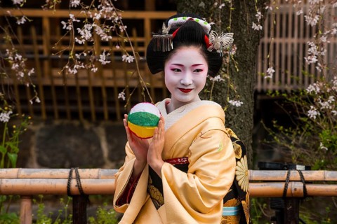 Geisha in front of a blossoming cherry tree in the Geisha quarter Gion