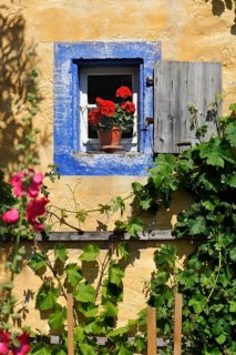 Small window with flowering Geraniums (Pelargonium Zonal Hybrid) on the Hackerhaus building