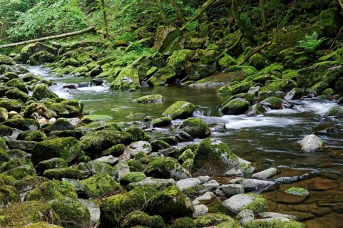 Wolfsteiner Ohe river