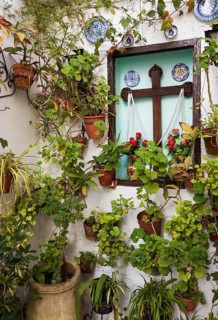 Corner with many potted plants and a cross
