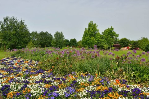 Park of Gardens garden show