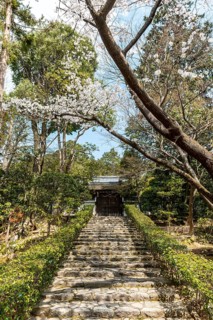 Stairs to Ryoanji Temple Kori