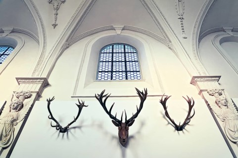 Detail of the antler collection of Count Arco-Zinneberg in the German Hunting and Fishing Museum