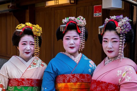 Traditionally dressed Geishas
