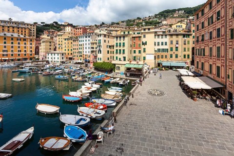 Harbour with fishing boats