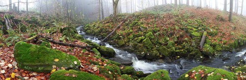 Stream with moss-covered basalt stones