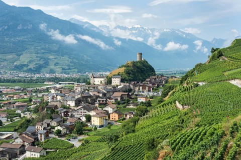Vineyards and the Bayart Tower on a hill