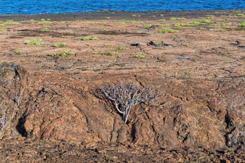 Rocky landscape