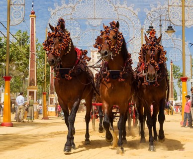 Decorated horses at the Feria del Caballo Horse Fair