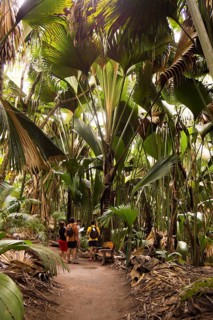 Guided tour for tourists