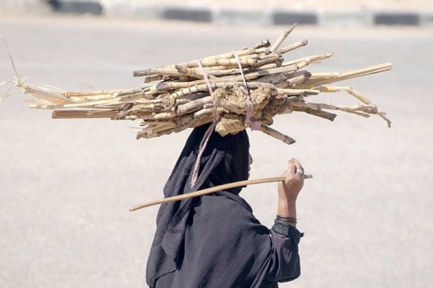 Bedouin woman carrying sugarcane on her head