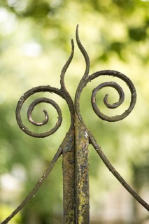 Ornament on old metal gate