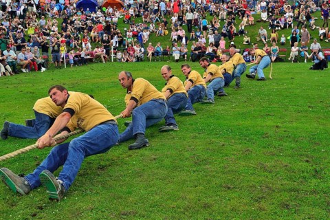 Tug-of-War