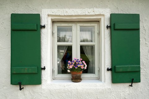 Window with green shutters and a flower pot