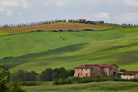 Hilly landscape of the Crete Senesi