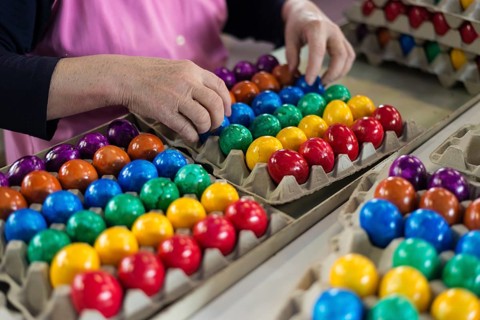 Worker during quality control of colourful dyed Easter eggs
