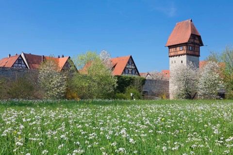 Bauerlinsturm tower with city walls