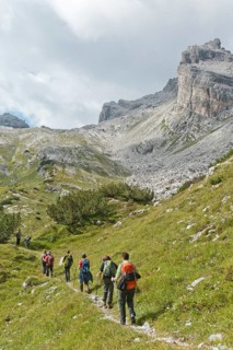 Hikers on a trail