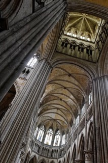Gothic vaults and pillars