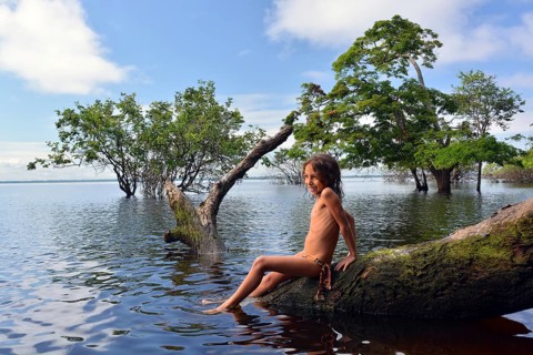 Girl sitting on a tree trunk of a giant rainforest tree on the banks of the Amazon and Rio Solimoes